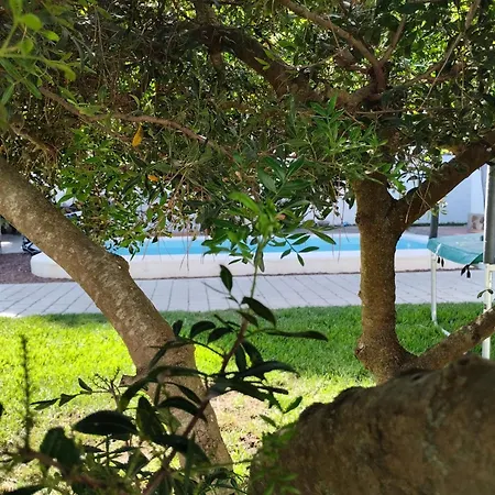 Holiday home Pinar Del Eden Lm