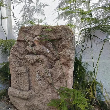 Pinar Del Eden Lm