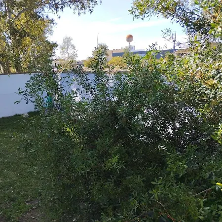 Pinar Del Eden Lm Holiday home Chiclana de la Frontera